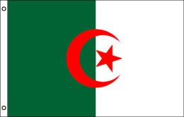 Algeria flag 900 x 1500 | Algeria flagpole flag