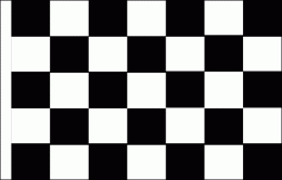 Black and white check flag 900 x 1500 with sleeve hoist