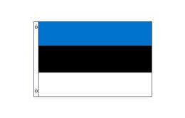 Estonia flag 600 x 900 | Medium Estonia flagpole flag