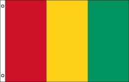 Guinea flag 900 x 1500 | Large Guinea flagpole flag