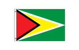 Guyana flag 600 x 900 | Medium Guyana flagpole flag