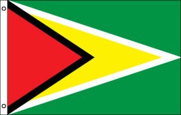 Guyana flag 900 x 1500 | Large Guyana flagpole flag