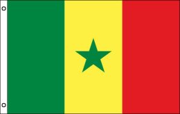 Senegal flag 900 x 1500 | Large Senegal flagpole flag