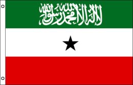 Somaliland flag 900 x 1500 | Large Somaliland flagpole flag