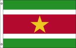 Suriname flag 900 x 1500 | Large Suriname flagpole flag