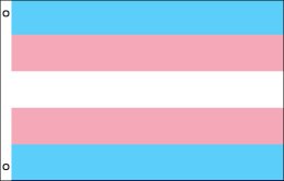 Transgender flag 900 x 1500 | Transgender flagpole flag