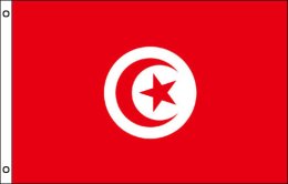 Tunisia flag 900 x 1500 | Large Tunisia flagpole flag