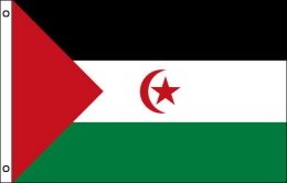 Western Sahara flag 900 x 1500 | Large Western Sahara flag
