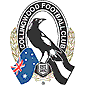 Collingwood footy flags