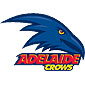 Adelaide footy flags