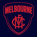 Melbourne footy flags
