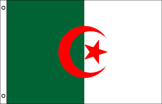 Algeria flag 900 x 1500 | Algeria flagpole flag