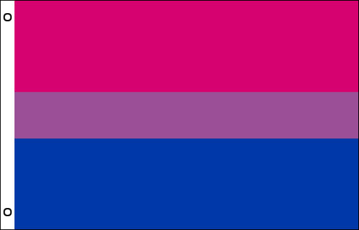 WÄHLEN SIE AUS 3 GRÖSSEN 1 x Bisexual Pride Flag Anstecknadel oder Magnet 