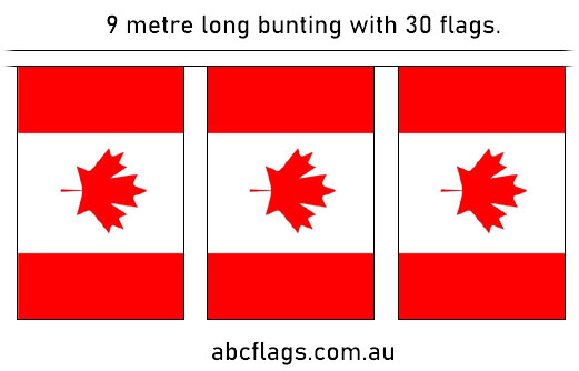 Canada flag bunting 9mt long with 30 flags