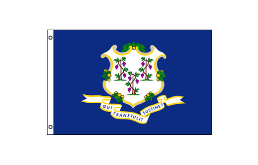 Image of Connecticut flag 600 x 900 Medium State flag of Connecticut