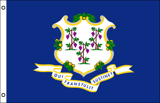 Connecticut flag 900 x 1500 | Large State flag of Connecticut
