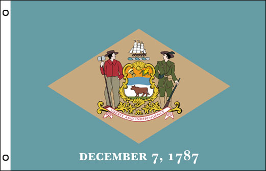 Delaware flag 900 x 1500 | Large State flag of Delaware