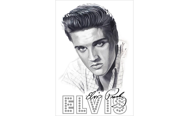 Elvis Presley fan mancave wall hanging 1500 x 900 Elvis flag