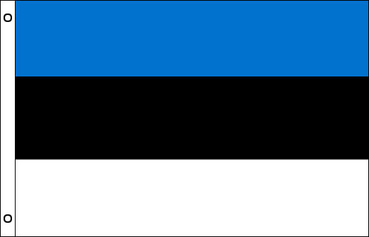 Estonia flag 900 x 1500 | Large Estonia flagpole flag