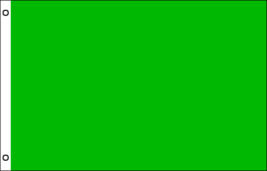 Image of Green flag 900 x 1500mm Green sports day flag