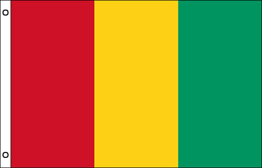 Image of Guinea flagpole flag Guinea funeral flag
