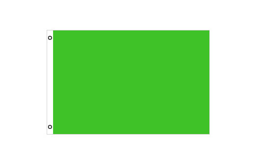 Image of Neon Green flag 600 x 900mm DIY flag making lime craft flag