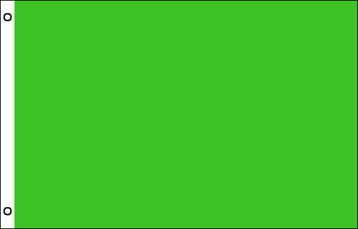 Neon Green flag 900 x 1500mm | Lime Green sports day flag