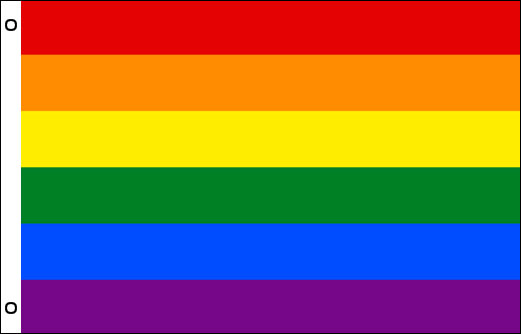 Image of Flag of Rainbow flag 900 x 1500 LGBT flag 3' x 5'
