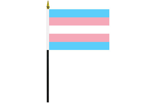 Transgender desk flag | Transgender table flag | Mini Trans flag