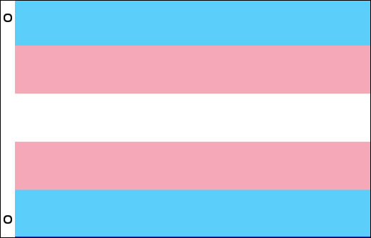 Transgender pride flag | Transgender awareness flag