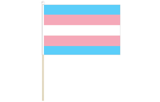 Image of Transgender hand waving flag Transgender stick flag