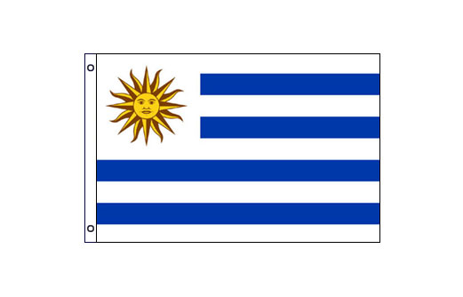 Uruguay flag 600 x 900 | Medium Uruguay Flag